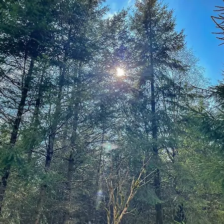 Am Wald * 프란케나우