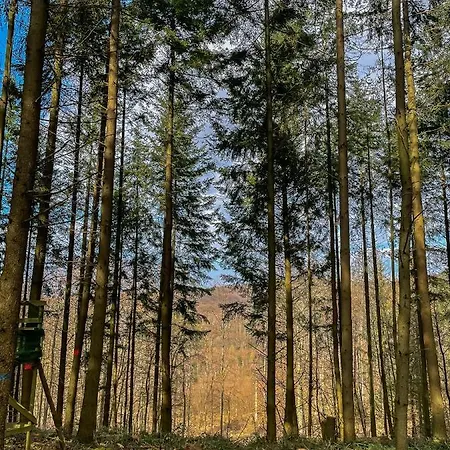 Am Wald Apartment